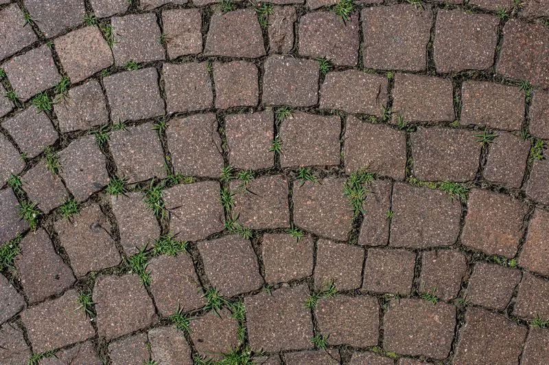 Velkoformátové žulové kostky 20×10×8 cm na terase u domu