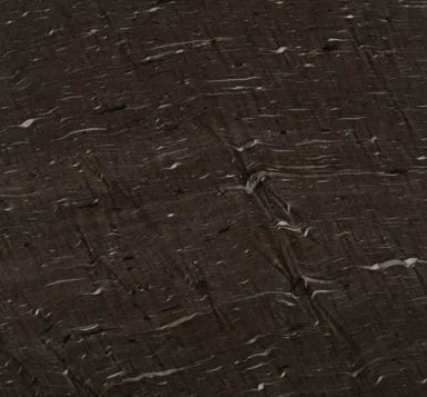 Cygnus