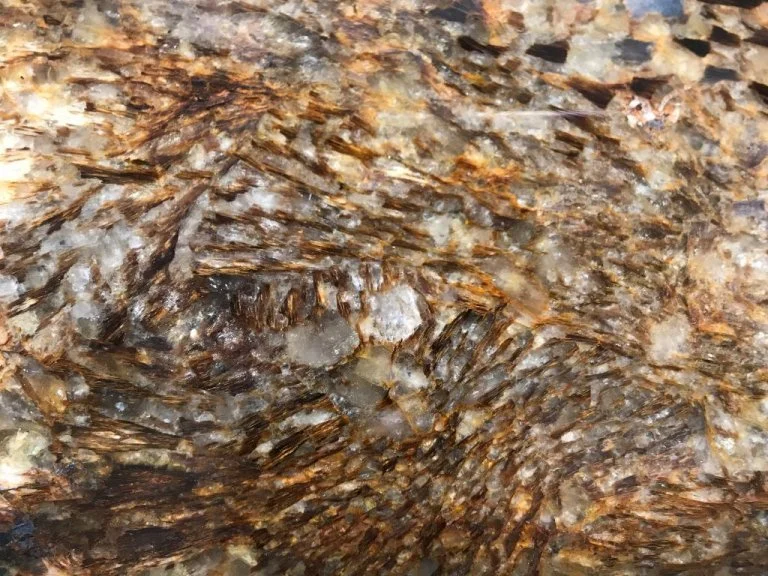 Euripton