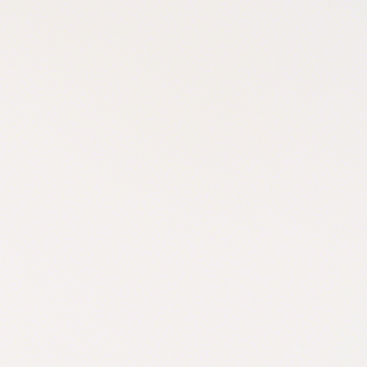 Arctic White