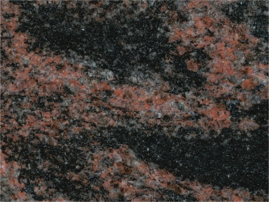 Aurora Bararb